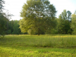 7650 Whitmire Road Cumming, GA 30028 - Image 784