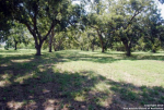 10.03 ACRES S STATE HWY 123 BYP Seguin, TX 78155 - Image 1420