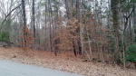 Lot 8 Country Blvd. Bracey, VA 23919 - Image 1644