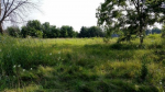 0000 OLD RIDGE Road Plainfield, IL 60586 - Image 12791
