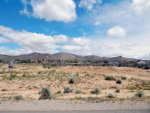 4525 Northview Drive Carson City, NV 89701 - Image 20542