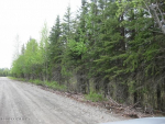 18165 Loveall Loop Clam Gulch, AK 99568 - Image 30465