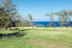 55-199 HOEA RD Hawi, HI 96719 - Image 36075