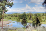 Lot 10 Whitecloud Court Mccall, ID 83638 - Image 36803