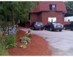 41 Morrell Street #1 West Roxbury, MA 02132 - Image 39064