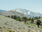 4327 Combs Canyon Road Carson City, NV 89703 - Image 44145