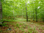 219 Overlook Drive Orleans, VT 05860 - Image 49283