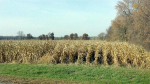 0 Ash Rd Watertown, WI 53094 - Image 50029