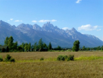 915 E. Oatgrass Rd Jackson, WY 83001 - Image 50453