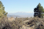5000 W Highway 50 Carson City, NV 89703 - Image 65551