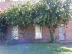 1923 W Brownstone Ct Sw Decatur, AL 35603 - Image 66375