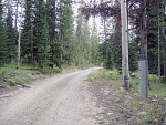 (tbd) USFS Road #490 Clark, CO 80428 - Image 80620