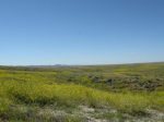 Parcel # 21 Big Valley Estates Lane Rozet, WY 82727 - Image 81903