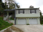 924 Rd Bo Collores Palmer, PR 00721 - Image 85062