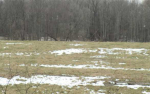 1973 Summit Point Road Summit Point, WV 25446 - Image 132288