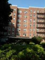 8450 169th St Apt 517 Jamaica, NY 11432 - Image 133341