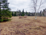 00 Buzzell road North Troy, VT 05859 - Image 137491