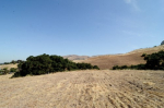 3660 Pleasant Knoll Court San Jose, CA 95148 - Image 199691