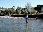 Lot 8 Gallatin River Preserve Belgrade, MT 59714 - Image 206266