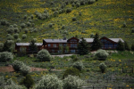 2490 E LA BONTE Jackson, WY 83001 - Image 207693