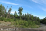 L1 B2 W Coghlan Circle Wasilla, AK 99654 - Image 212817