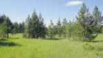 NNA N Sand Creek Drive Spirit Lake, ID 83869 - Image 213011
