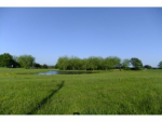 0 County Rd 1669 Cullman, AL 35058 - Image 217791