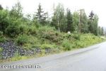 Lot 43 Crow Creek Road Girdwood, AK 99587 - Image 222393