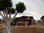 1256 W 20 PL Yuma, AZ 85364 - Image 226832