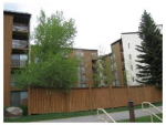 300 E Lionshead Cir #407 Vail, CO 81657 - Image 229488