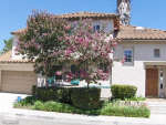 251 Via Del Prado Santa Paula, CA 93060 - Image 231182