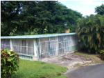 Lot%201%20Cedro%20Abajo%20Ward Naranjito, PR 00719 - Image 232132