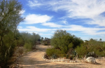 10518 E. Placita Los Reyes Tucson, AZ 85748 - Image 232498