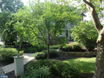 668 Route 601 Belle Mead, NJ 08502 - Image 237118