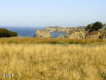 32851 X Ocean Meadows Circle Fort Bragg, CA 95437 - Image 238611