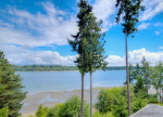 651 SE Somers Dr Shelton, WA 98584 - Image 240802