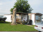 113 Nancy Lane Georgetown, KY 40324 - Image 245248