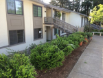 5220 Cribari Dale San Jose, CA 95135 - Image 245948