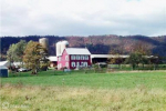 10157 Corner Road New York, NY 10157 - Image 246847