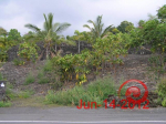 73 -4910 Anini Street Kailua Kona, HI 96740 - Image 251390