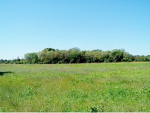122 PARKER ROAD Salisbury, MD 21804 - Image 251501