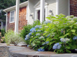 54 Scraggy Neck Rd Cataumet, MA 02534 - Image 253439