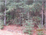 0 Highland Rd Eight Mile, AL 36613 - Image 255958