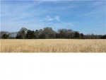 134 Cedar Plains Road Hartselle, AL 35640 - Image 263872