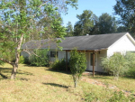25 Lakeside Cv Carriere, MS 39426 - Image 275967