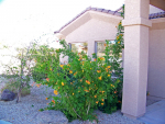 2585 W PINTO Place Wickenburg, AZ 85390 - Image 276923