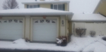 4787 W Arno Ct #42-3 West Jordan, UT 84084 - Image 278096