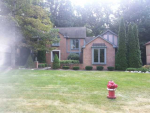 14080 Timberview Dr Utica, MI 48315 - Image 281899