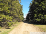 44905 Holman Ave Harris, MN 55032 - Image 282554