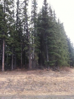 2818 Chief Alexander Drive Fairbanks, AK 99709 - Image 287816